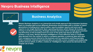 Nevpro Business Solutions Pic 4 - Business Intelligence Software