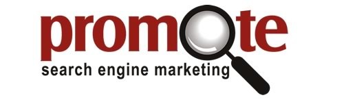 Promote Search Engine Optmization & Marketing Pic 1 - Promote SEO