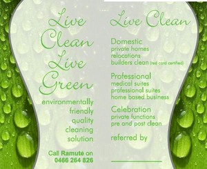 Live Clean Live Green Pic 2