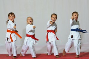 BKJ Martial Arts Pic 2 - Our kids in action