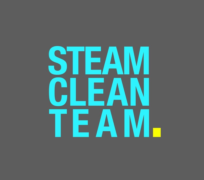 Steam Clean Team Pic 1 - carpet steam cleaning