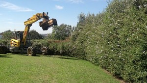 Spider Contracting Pic 2 - Trimming a photinia hedge mechanically