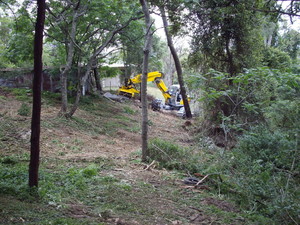 Spider Contracting Pic 3 - Vegetation clearing for fire hazard reduction