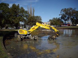 Spider Contracting Pic 4 - Water weed removal in council pond