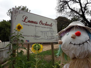 Lomas Orchards Pic 2 - Meet Wally our scarecrow and try our apples pears stone fruits and strawberries