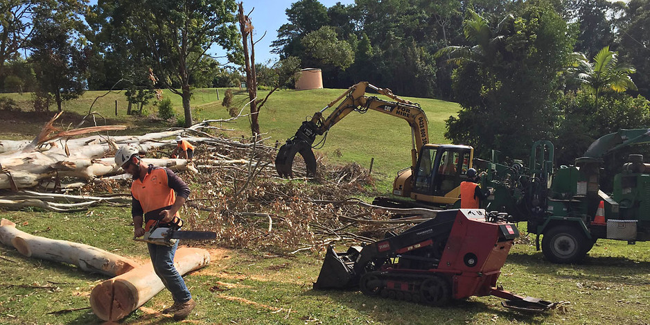 Lismore Tree Removal Services Pic 1