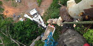 Lismore Tree Removal Services Pic 3