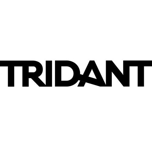 Tridant Pty Ltd Pic 1