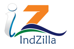 IndZilla Web Services Pic 1