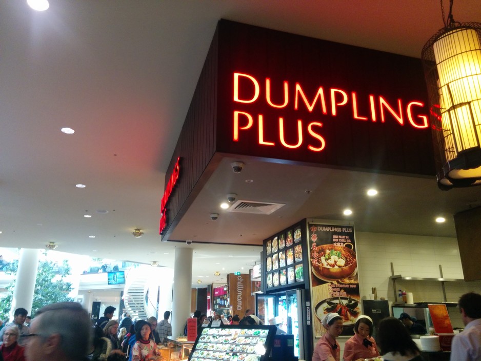 Dumplings Plus Pic 1