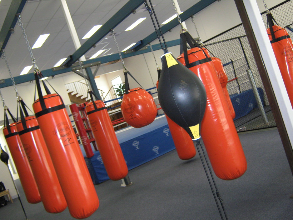 Healthy Buzz Boxing & Fitness Pic 1