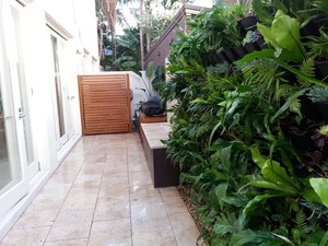 Golder Landscaping and Gardening Pic 4 - Landscape Vertical Garden Kirribilli Design Construction Horticulture maintenance