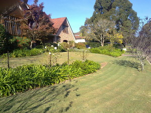 GARDEN NINJAS Pic 4 - LAWN MAINTENANCE