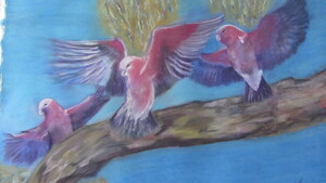 Eykandi Photography Pic 3 - Three Galahs Framed Pastel