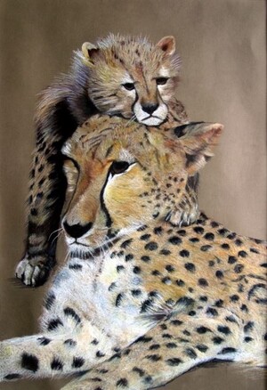 Eykandi Photography Pic 4 - Mama Cheeta and Cub Pastel Framed