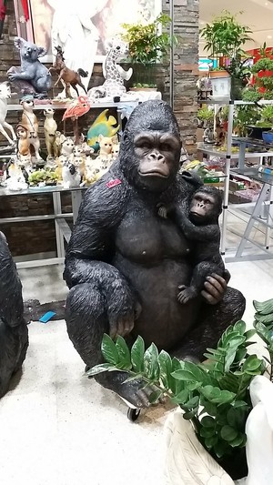 Katie's Bonsai and Giftware Pic 3 - This big gorilla caught my eye