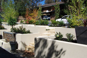 Contemporary Landscapes & Maintenance Pty Ltd Pic 2 - Landscaper