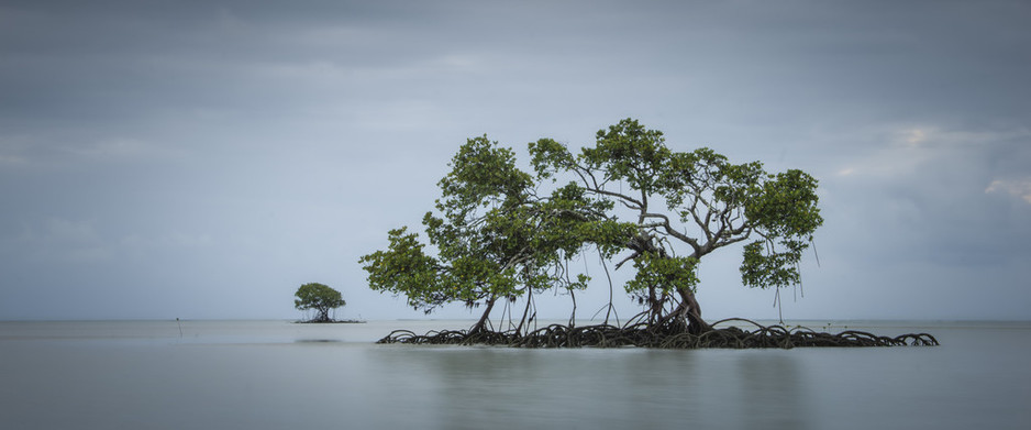 Daintree Photography Pic 1