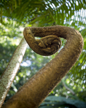 Daintree Photography Pic 5