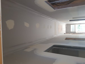 IDM Plastering Pic 4