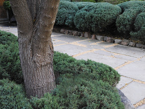 Best Gardening Service Pic 3 - Hedging Pruning Trimming in Melbourne