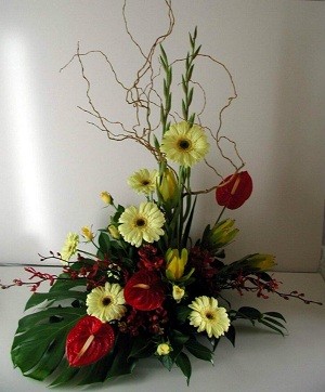 Big Twig Florist in Wonthaggi, VIC, Florists - TrueLocal