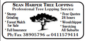 Sean Harper Pty Ltd Pic 1 - Tree Surgeon