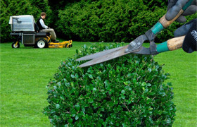 Intricate landscaping Pic 1 - Hedging