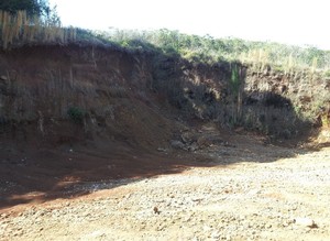 Fieldsie's mowing and rubbish removal Pic 5 - Rubbish removal ballina after