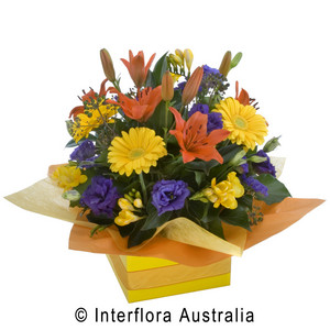 Salamander Village  Florist Pic 3 - bright box arrangement