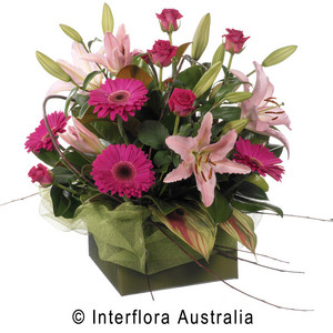 Salamander Village  Florist Pic 4 - pink oriental lilies roses and gerberas