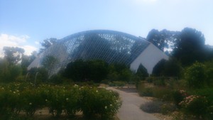 Department for Environment and Heritage - Botanic Gardens Of Adelaide Pic 3