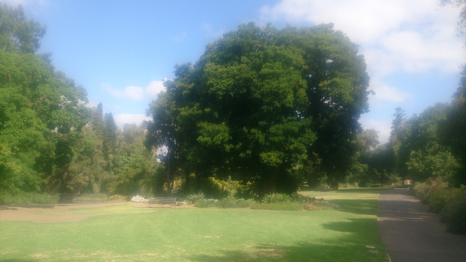 Department for Environment and Heritage - Botanic Gardens Of Adelaide Pic 1