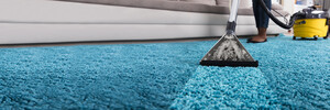 WOW Carpet Cleaning Perth Pic 3