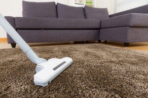 WOW Carpet Cleaning Perth Pic 4