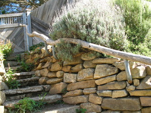 Steve Lick Timberworks Pic 5 - Sandstone wall sapling handrail and recycled timber fence