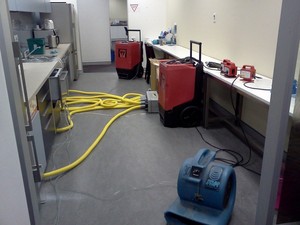 Pacific Sun Carpet Cleaning Service Pic 3