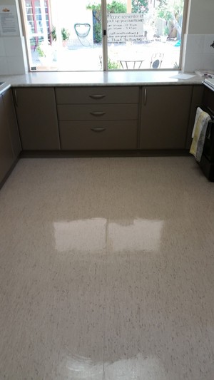 Northside Carpet Care Pic 4 - After