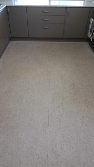 Northside Carpet Care Pic 3 - Before