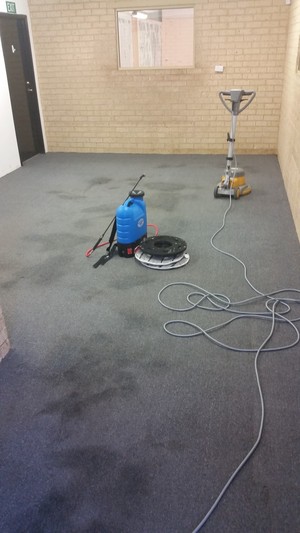 Northside Carpet Care Pic 5 - Before