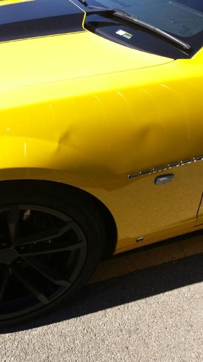 DIAMOND DENTS, paintless dent removal Pic 1