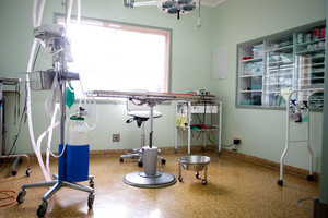 Horsham Veterinary Hospital Pic 2 - Surgery