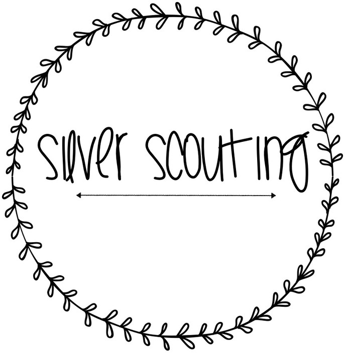 Silver Scouting Pic 1 - Silver Scouting