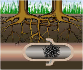 chris campbell plumbing Pic 3 - Blocked Drains