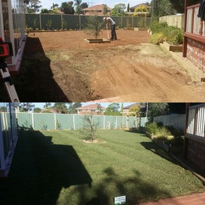 Minidigger Services Pic 5