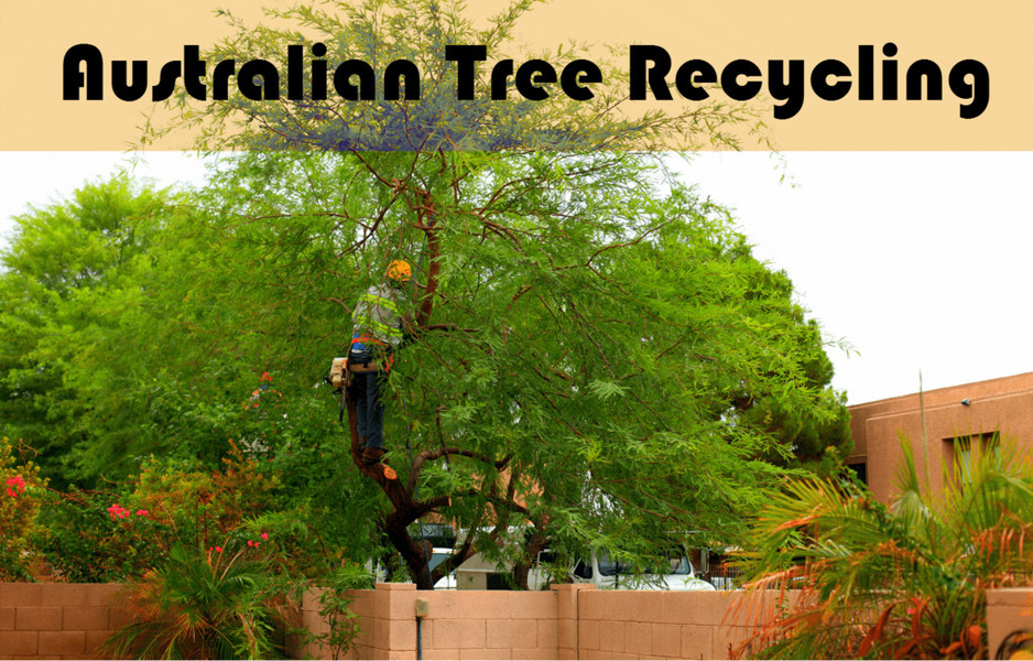 Australian Tree Recycling in Newcastle, NSW, Tree surgeon TrueLocal