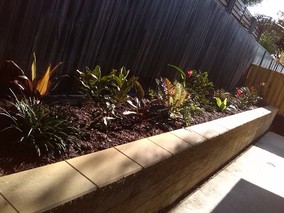 Aussie Gardenscapes Pic 1 - Block Wall with new planting