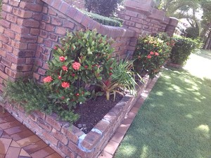 Aussie Gardenscapes Pic 2 - Garden spruce up in Macgregor