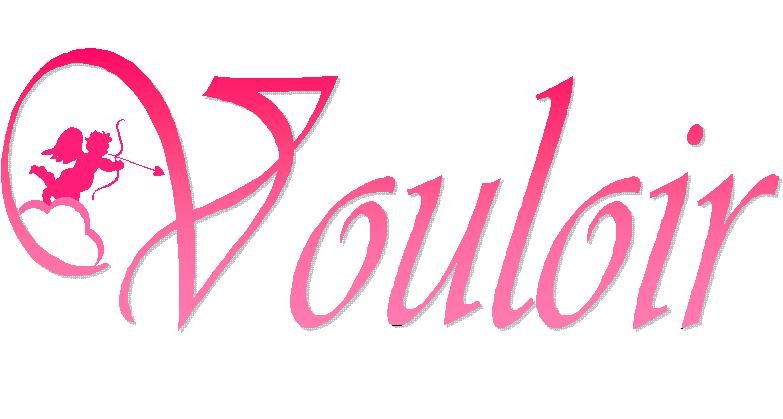 Vouloir Lingerie Pic 1 - your desire our business