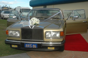 Dux Limos Pic 2